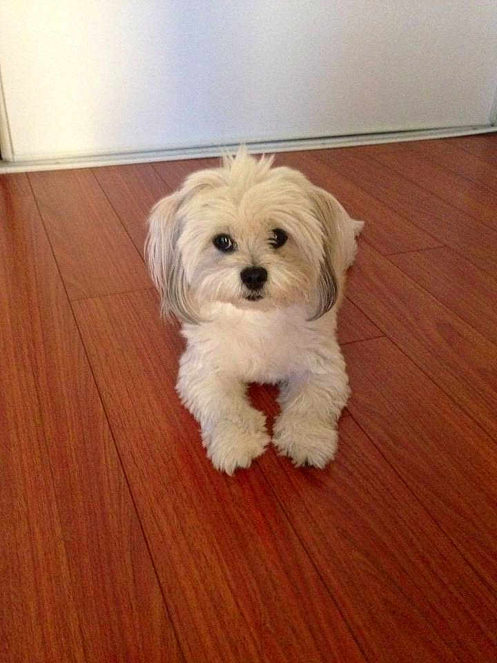 Mitzi