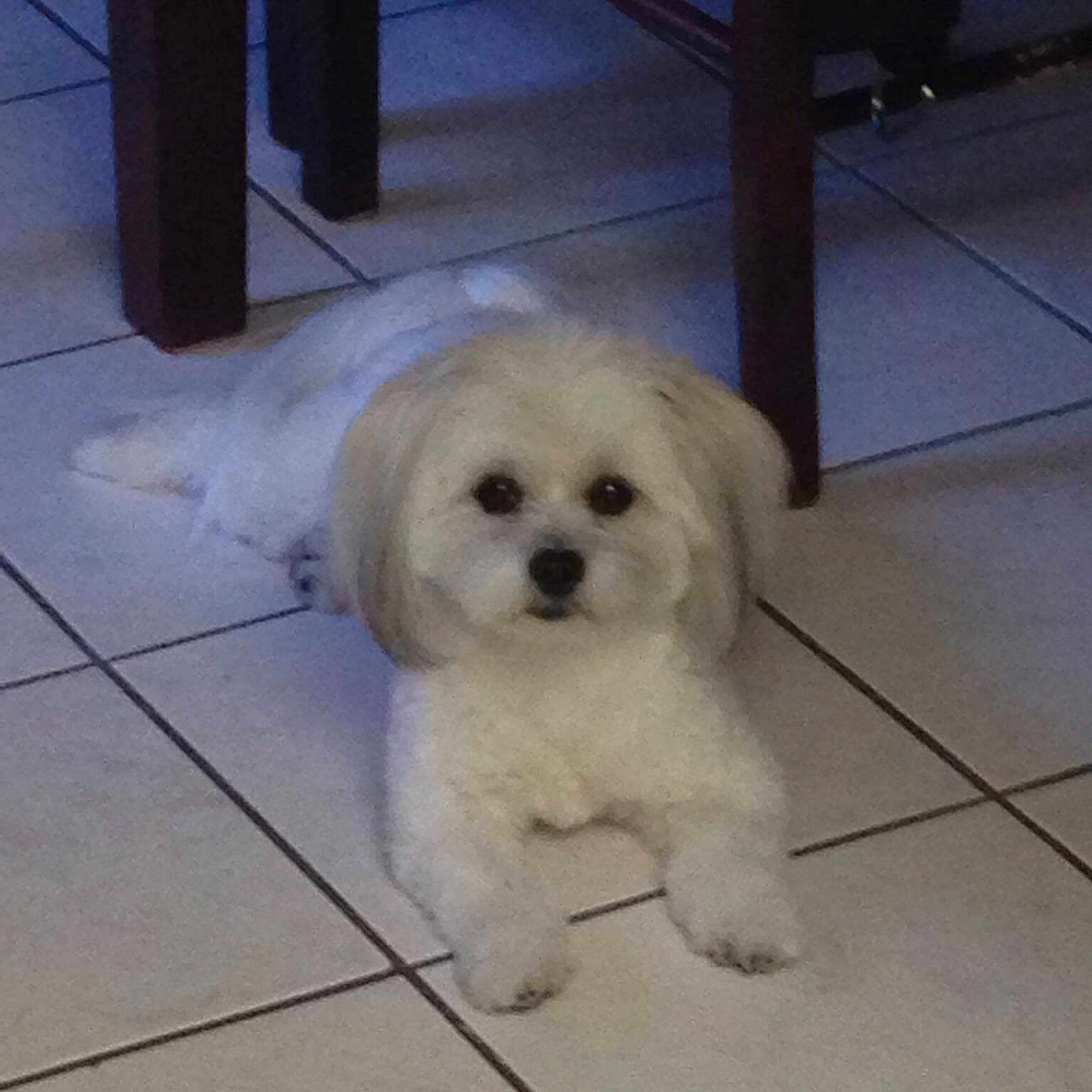 Mitzi