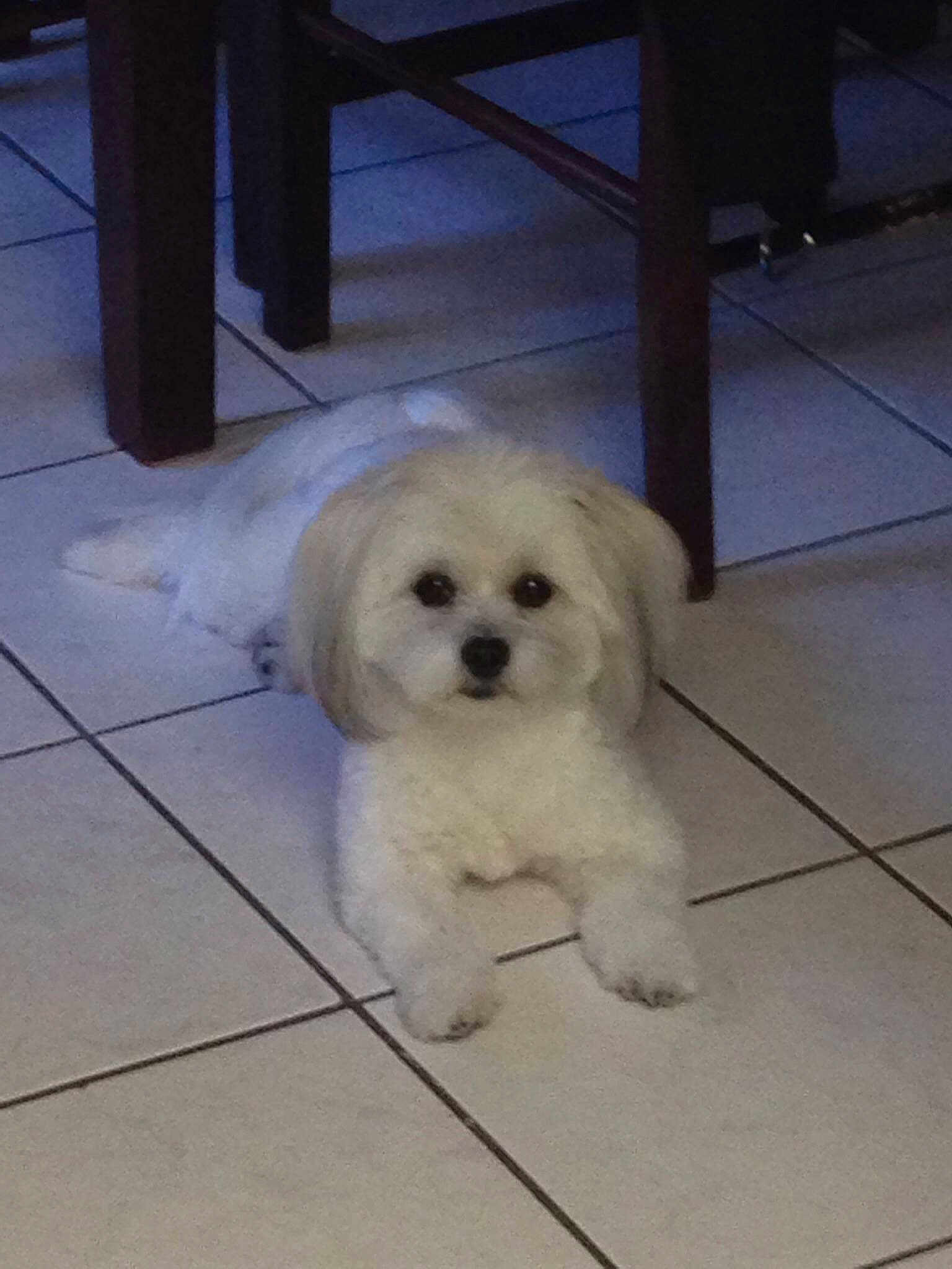 Mitzi