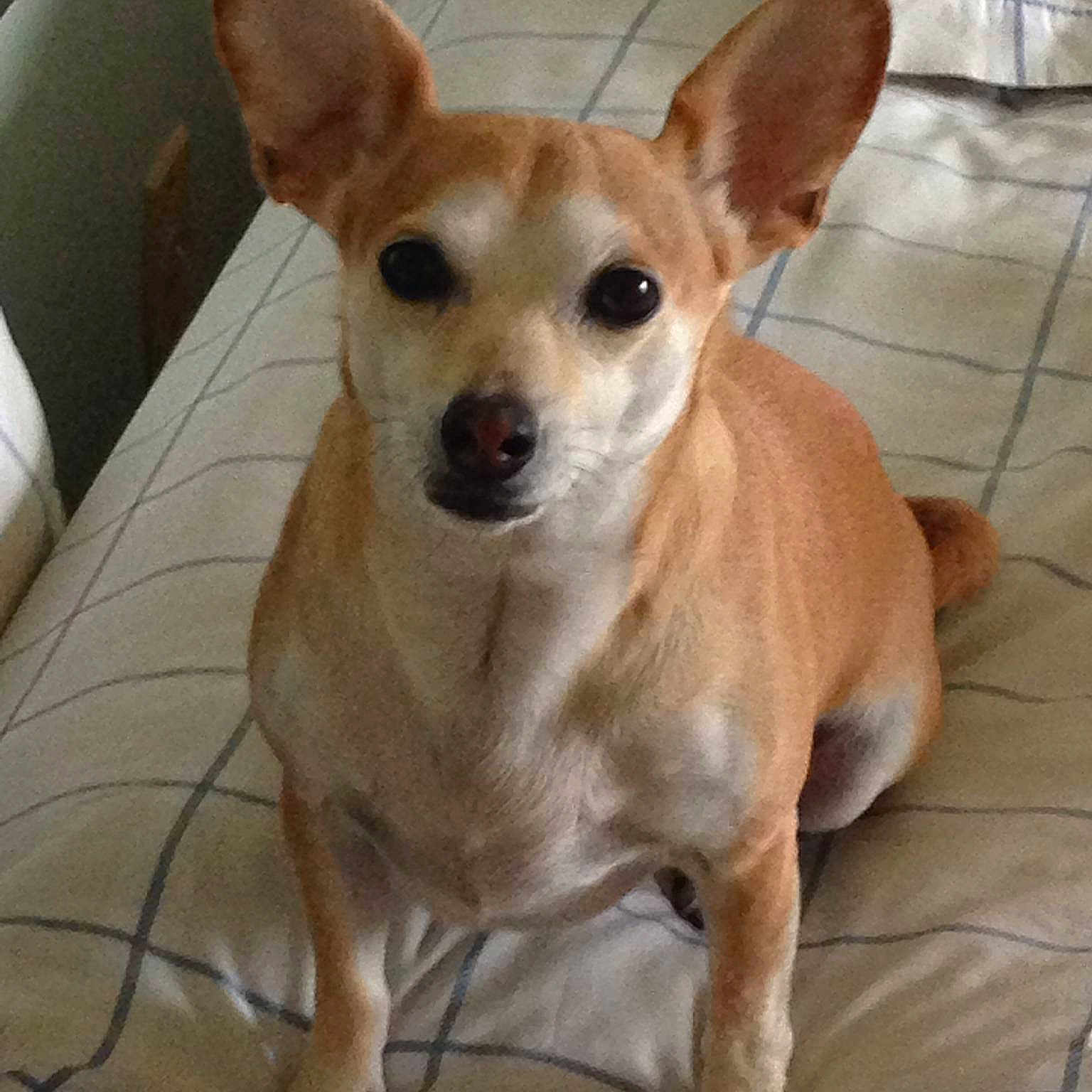 Coco
