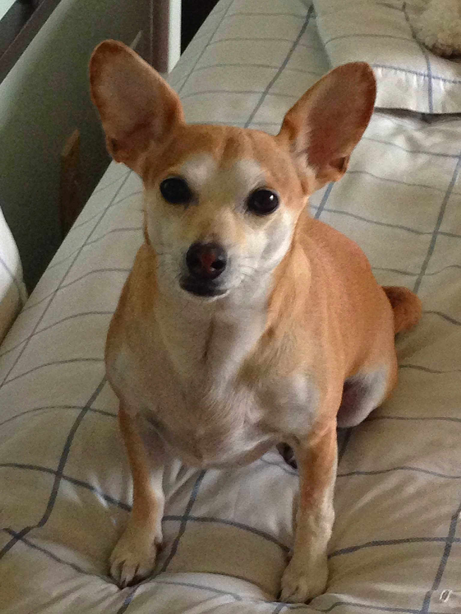 Coco