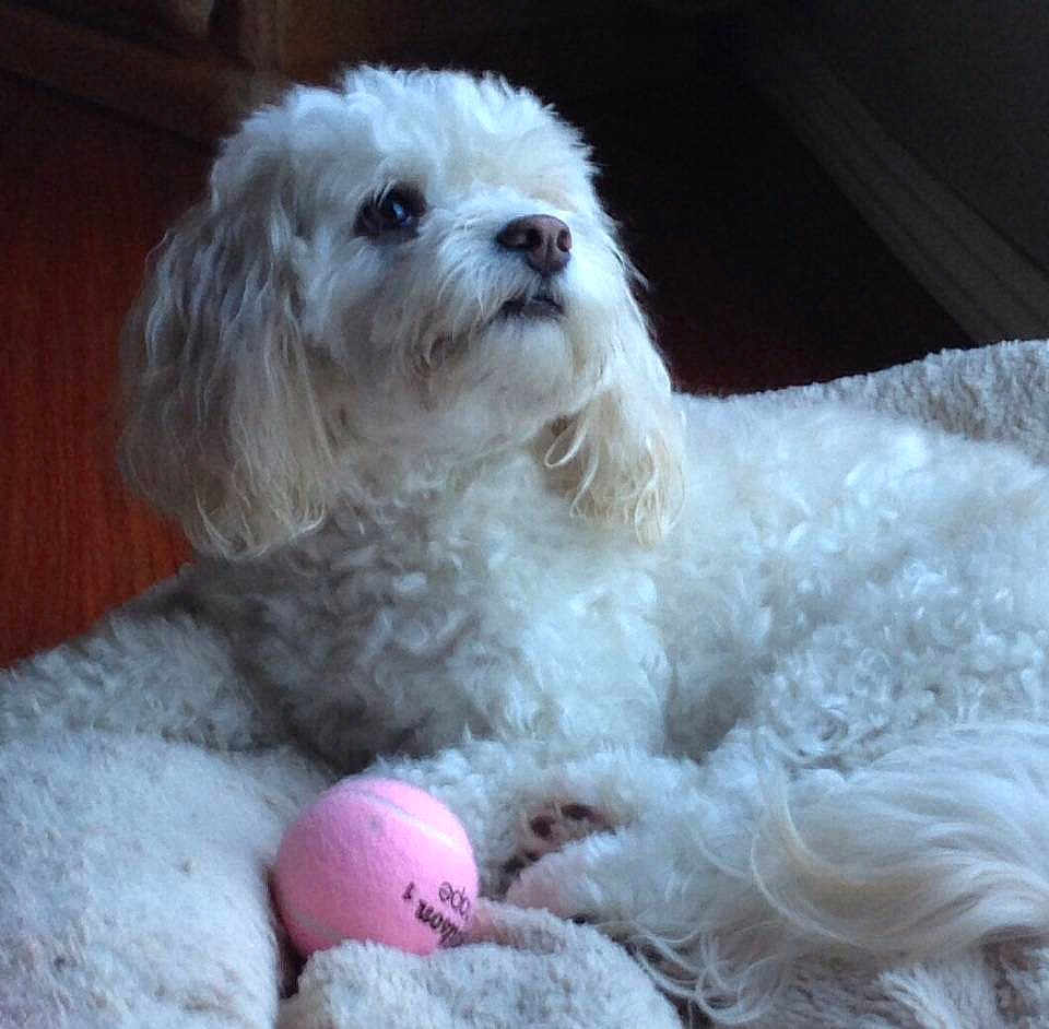 Sophie