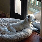 Mitzi joined the competition — help win amazing prizes!