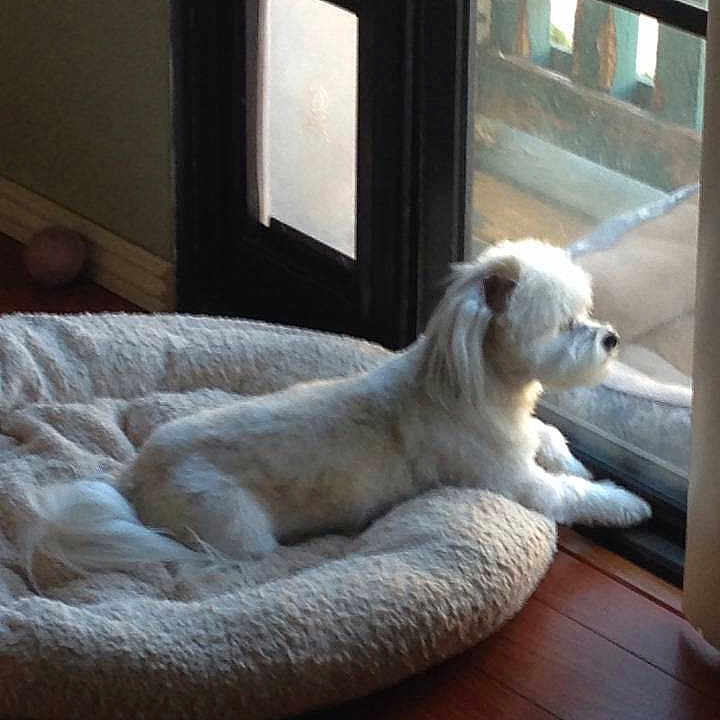 Mitzi