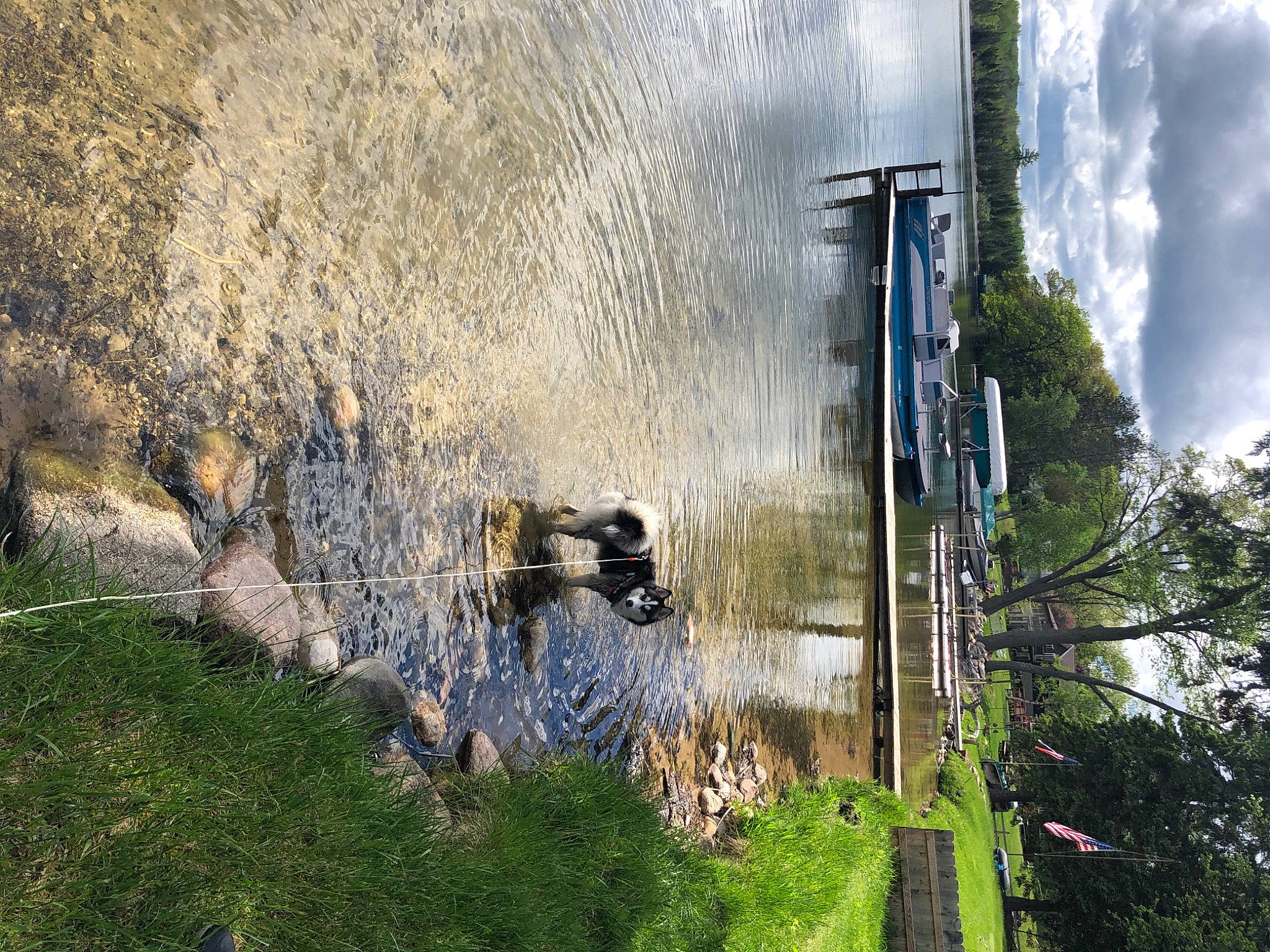 Luna is registered to the contest to win money with this photo: bank, channel, fluvial_landforms_of_streams, polder, reflection, watercourse, wetland, wind_wave