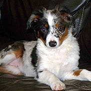 Pretty Little Princesse participe au concours pour gagner de l'argent avec cette photo :