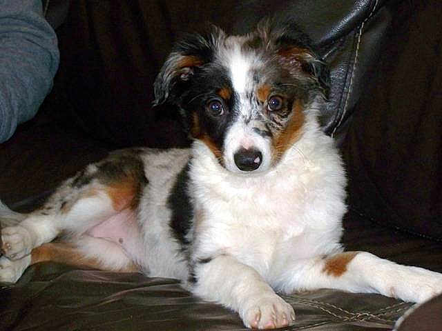 Pretty Little Princesse