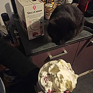 Moon a rejoint le concours — aidez-le/la à gagner de superbes lots ! chair, chiboust_cream, clotted_cream, comfort_food, cream, cuisine, dairy, dessert, dish, dondurma, food, frozen_dessert, gelato, ice_cream, ingredient, mascarpone, recipe, sorbetes, table, tableware