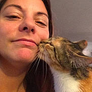 Navi participe au concours pour gagner de l'argent avec cette photo :