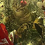Luna is registered to the contest to win money with this photo: cat, tabby_cat, christmas_tree, ornament, red_bauble, holiday_lights, festive, decorations, feline, pets, holiday_season, greenery, christmas, tree_branches, curious, indoor, cozy, animal, playful, paw