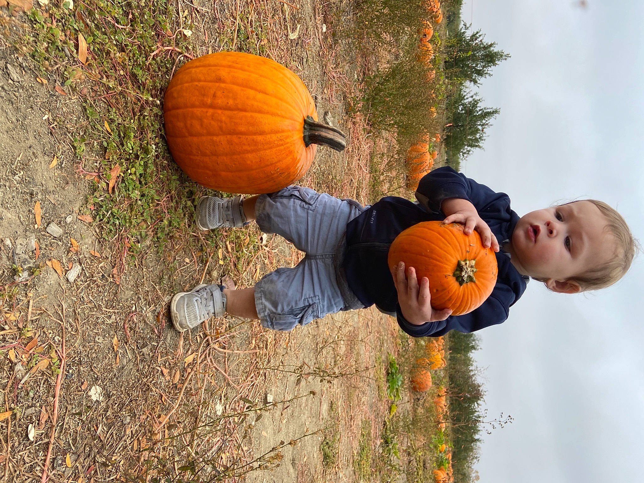 Rhyder is registered to the contest to win money with this photo: ball, calabaza, cloud, cucurbita, eye, face, fruit, gourd, grass, happy, leaf, natural_foods, people_in_nature, person, plant, pumpkin, sky, squash, tree, vegetable