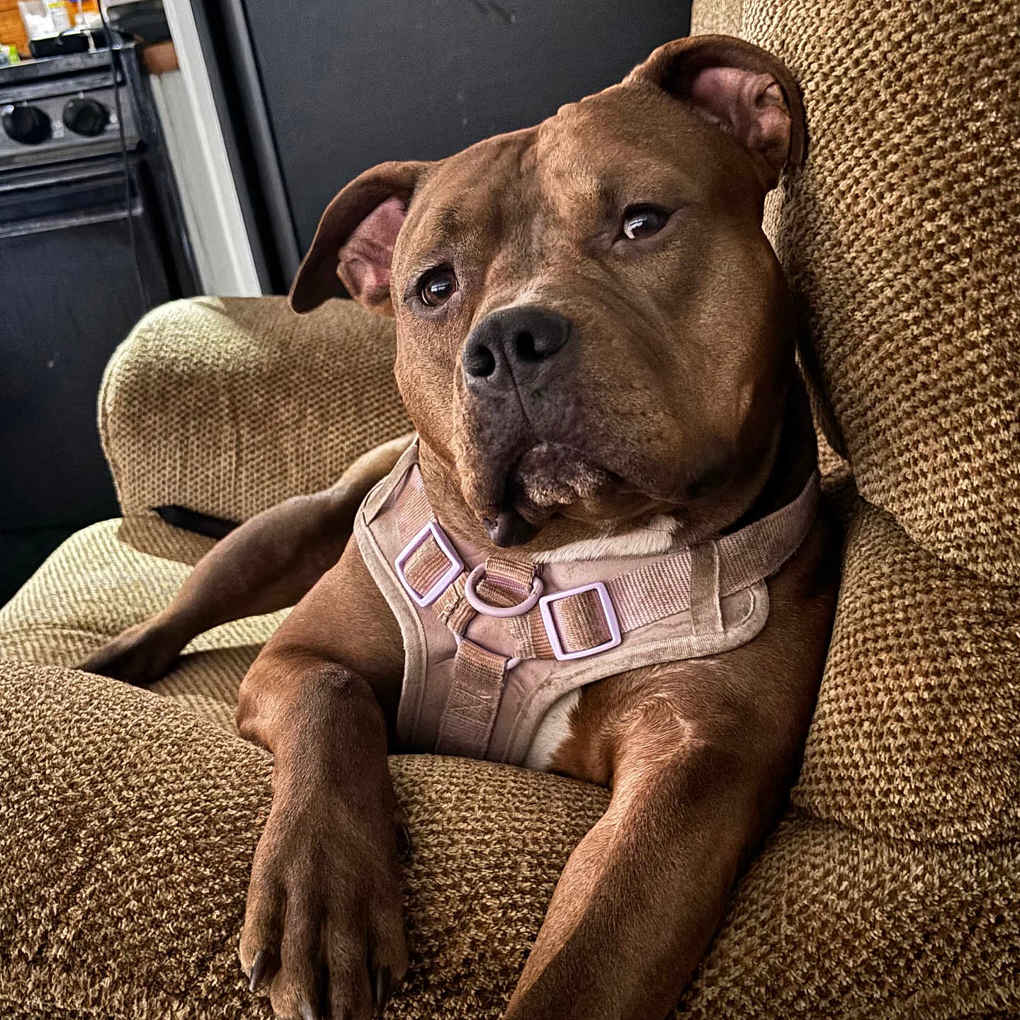 Lola