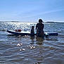 water, person, dog, paddleboard, sunlight, outdoor, sea, sky, reflection, nature, recreation, summer, waves, shore, animal, leisure, vacation, blue_sky, sunshine, water_sport