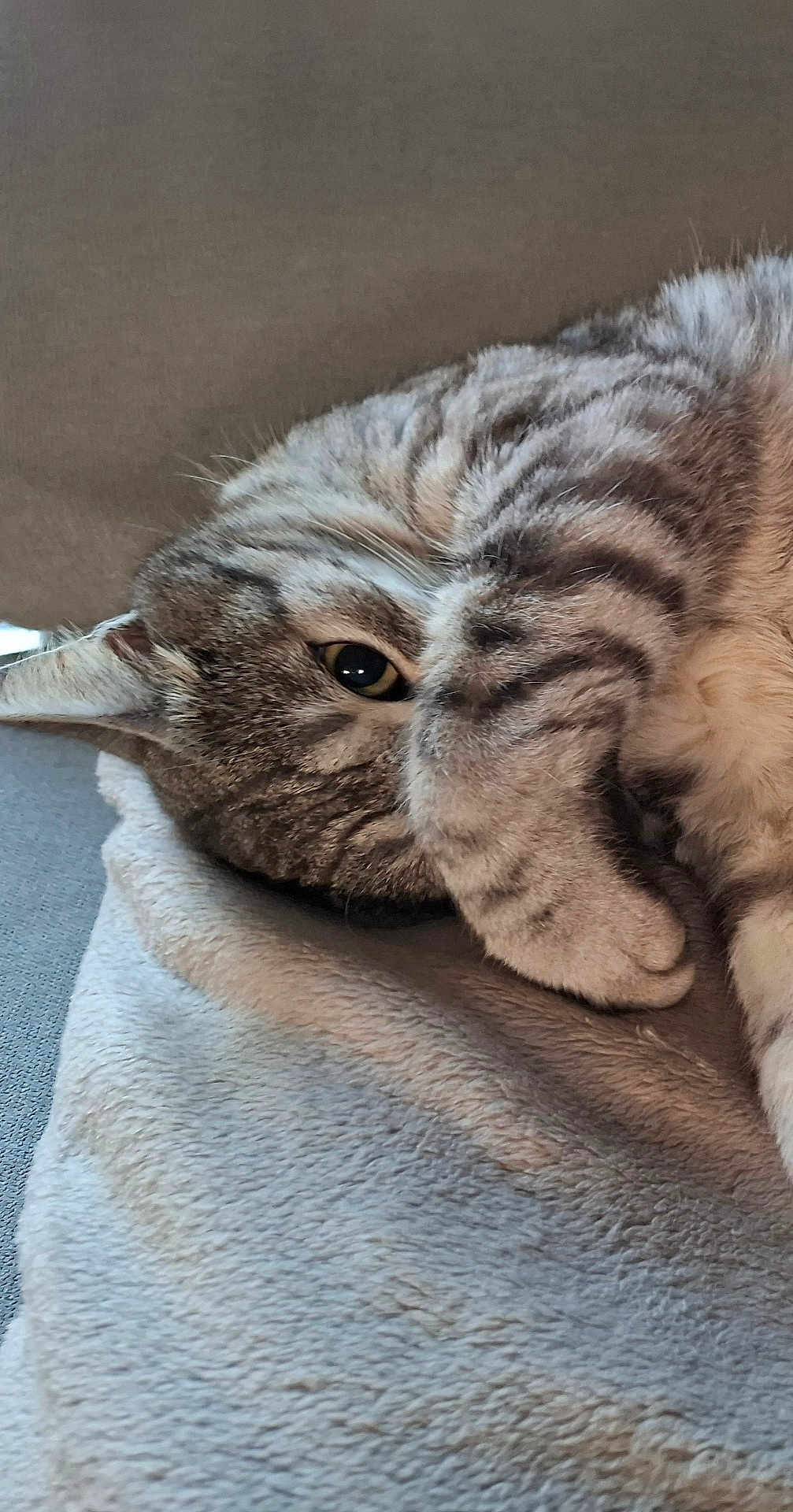 Léo