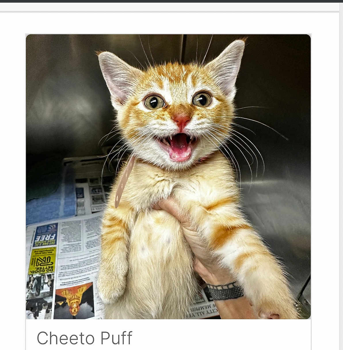 Cheeto Puff