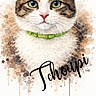 Tchoupi participe au concours pour gagner de l'argent avec cette photo : cat, watercolor, painting, art, portrait, green_eyes, collar, animal, pet, illustration, brown, white, face, whiskers, cute, feline, background, drip_effect, stylish_text, artistic