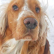 Filou participe au concours pour gagner de l'argent avec cette photo :
