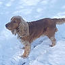 Filou participe au concours pour gagner de l'argent avec cette photo :