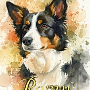 Romy Lry participe au concours pour gagner de l'argent avec cette photo : animal, art, background, canine, colorful, decorative, dog, drip, ears, expression, face, fur, illustration, name, painting, pet, portrait, splash, text, watercolor