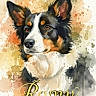 animal, art, background, canine, colorful, decorative, dog, drip, ears, expression, face, fur, illustration, name, painting, pet, portrait, splash, text, watercolor