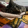 cat, tabby, close_up, laying_down, blanket, soft_texture, indoor, pet, fur, whiskers, relaxed, cozy, comfort, resting, animal, cute, sleepy, bedroom, warm, domestic