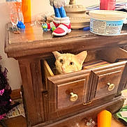 Cali joined the competition — help win amazing prizes! cat, clutter, curiosity, cute, floor, hardwood_floor, homedecor, indoor, lamp, messy_room, open_drawer, orange_cat, peek, pet, plastic_container, sneakers, toy_figurine, water_bottle, wooden_dresser, wooden_furniture