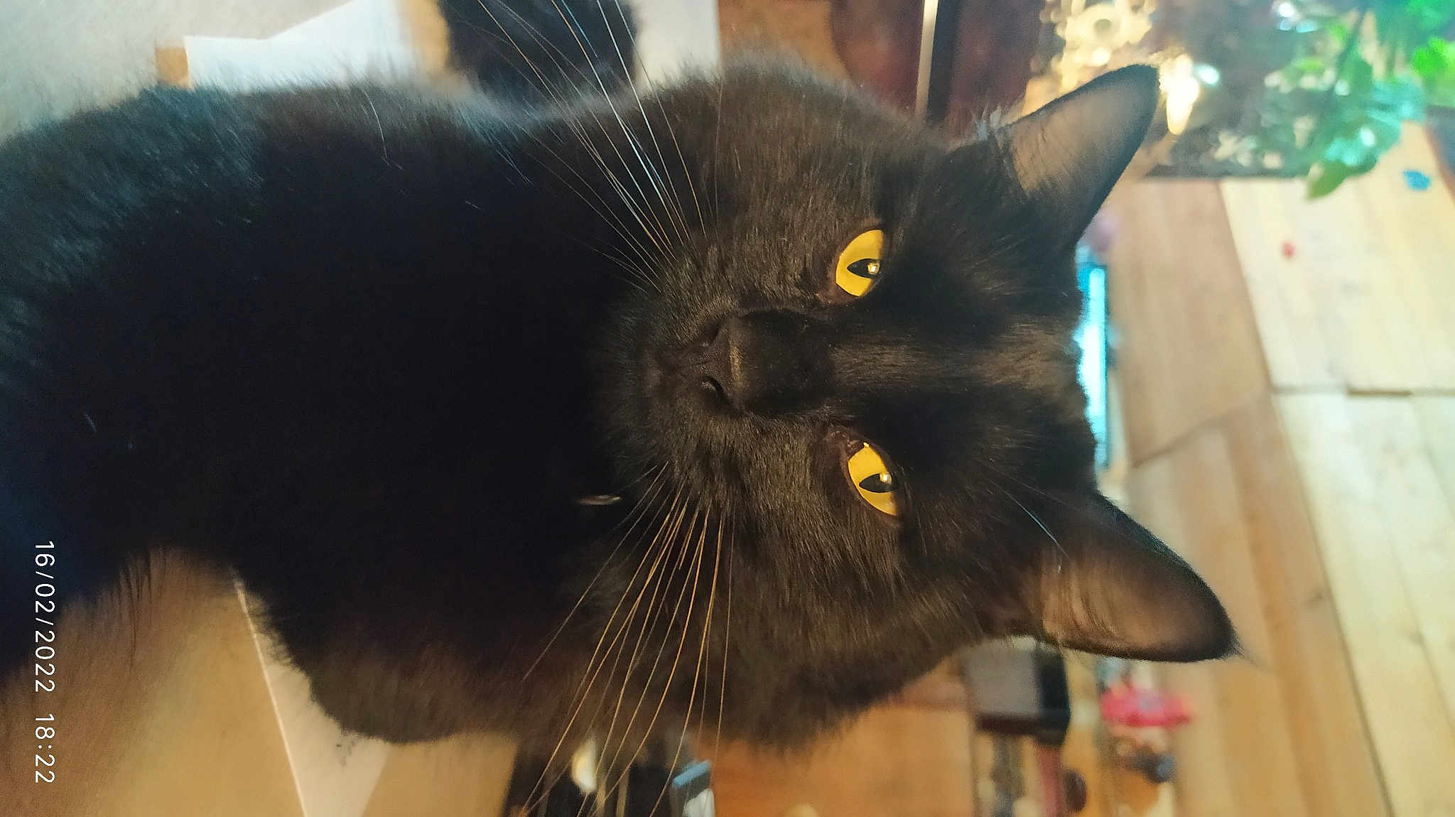 Charlie