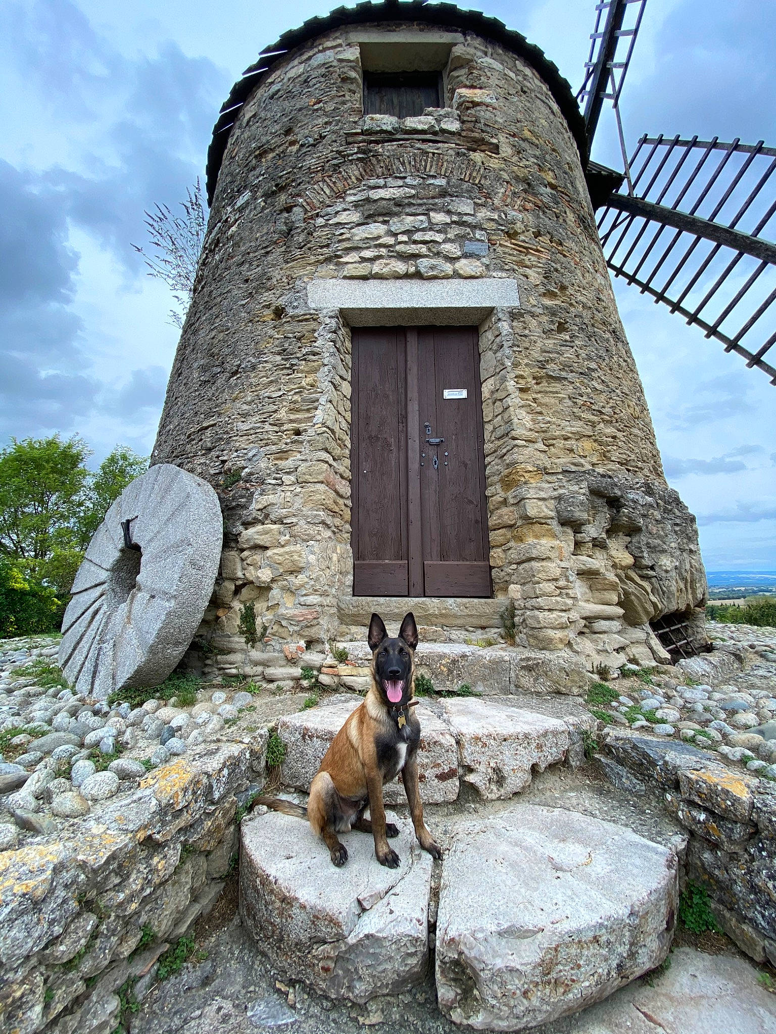Ranger a rejoint le concours — aidez-le/la à gagner de superbes lots ! building, canidae, fawn, goat, goats, rock, ruins, stone_wall, tree, wall