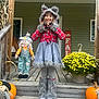 child, costume, wolf, porch, pumpkin, scarecrow, flowers, fall, seasonal_decoration, smile, wooden_steps, outdoor, plaid, gray_clothing, festive, holiday, yellow_flowers, happy, person, decor