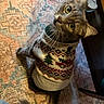 Mylo joined the competition — help win amazing prizes! cat, cozy, curious_eyes, cute, domestic_cat, feline, festive, floor, grey_cat, holiday_sweater, home, indoor, knitted_clothing, looking_up, patterned_rug, pet, sweater, tabby_cat, warm, whiskers