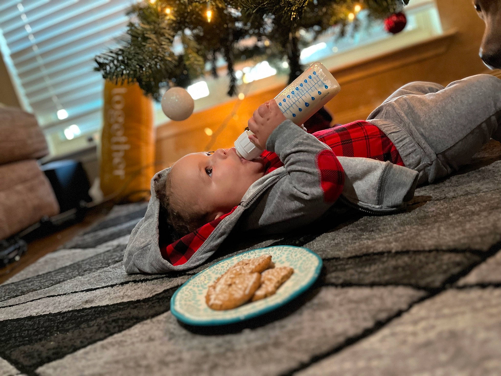 Amoni joined the competition — help win amazing prizes! child, christmas, christmas_decoration, christmas_tree, dish, event, flooring, food, foot, fun, happy, holiday, human_body, human_leg, leg, leisure, person, sitting, toddler, tree