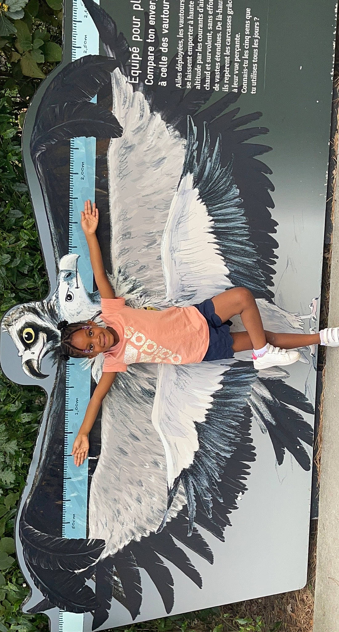 Elena a rejoint le concours — aidez-le/la à gagner de superbes lots ! art, cg_artwork, cool, fashion, feather, fiction, fictional_character, fun, graphic_design, graphics, illustration, joy, leisure, painting, person, photomontage, shorts, t_shirt, tree, visual_arts