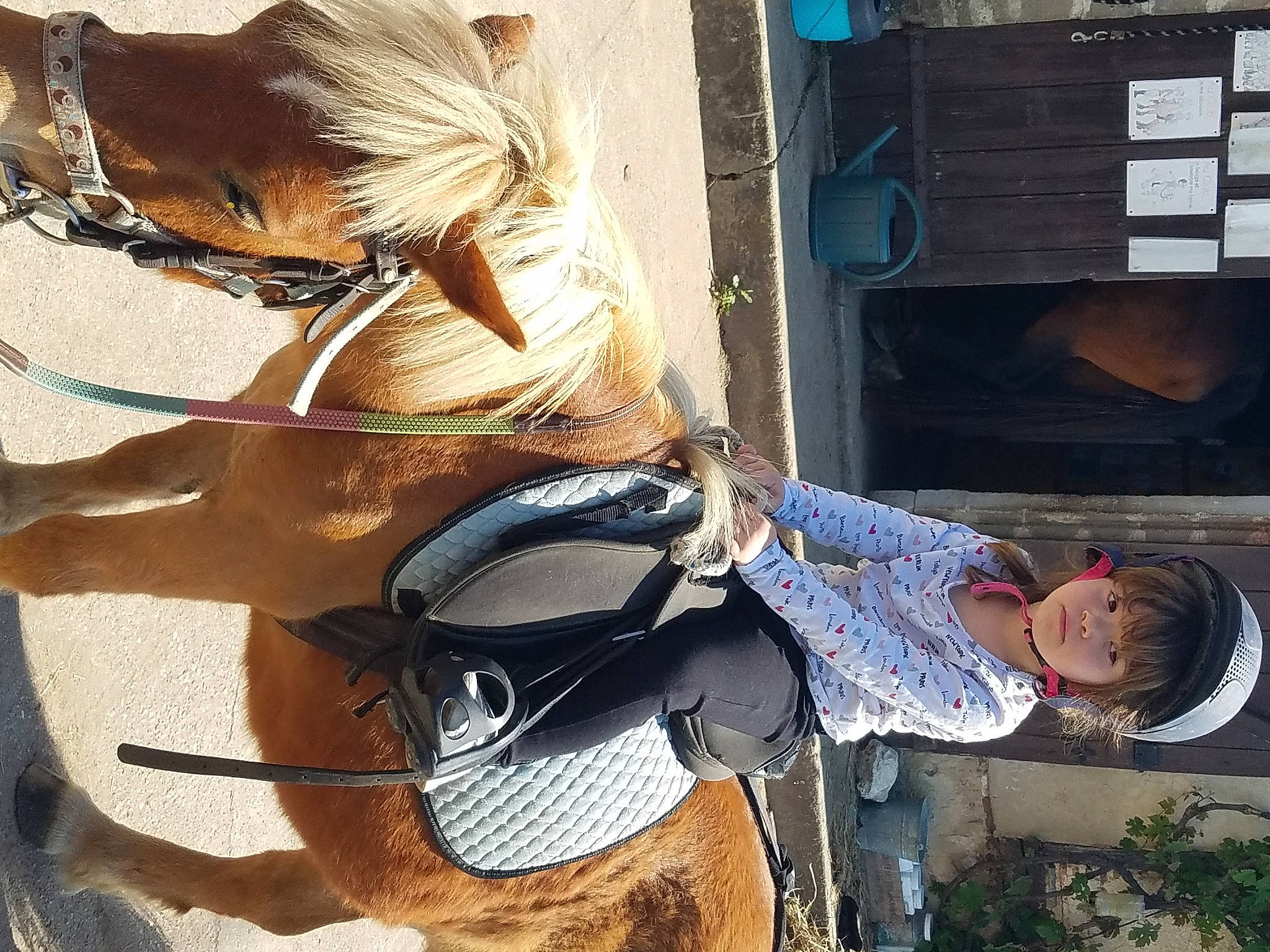 Anna a rejoint le concours — aidez-le/la à gagner de superbes lots ! bridle, elbow, eyewear, fashion_accessory, fawn, fictional_character, flesh, fur, hat, headgear, horse_supplies, horse_tack, human_leg, person, personal_protective_equipment, rein, sitting, street_fashion, thigh, wood