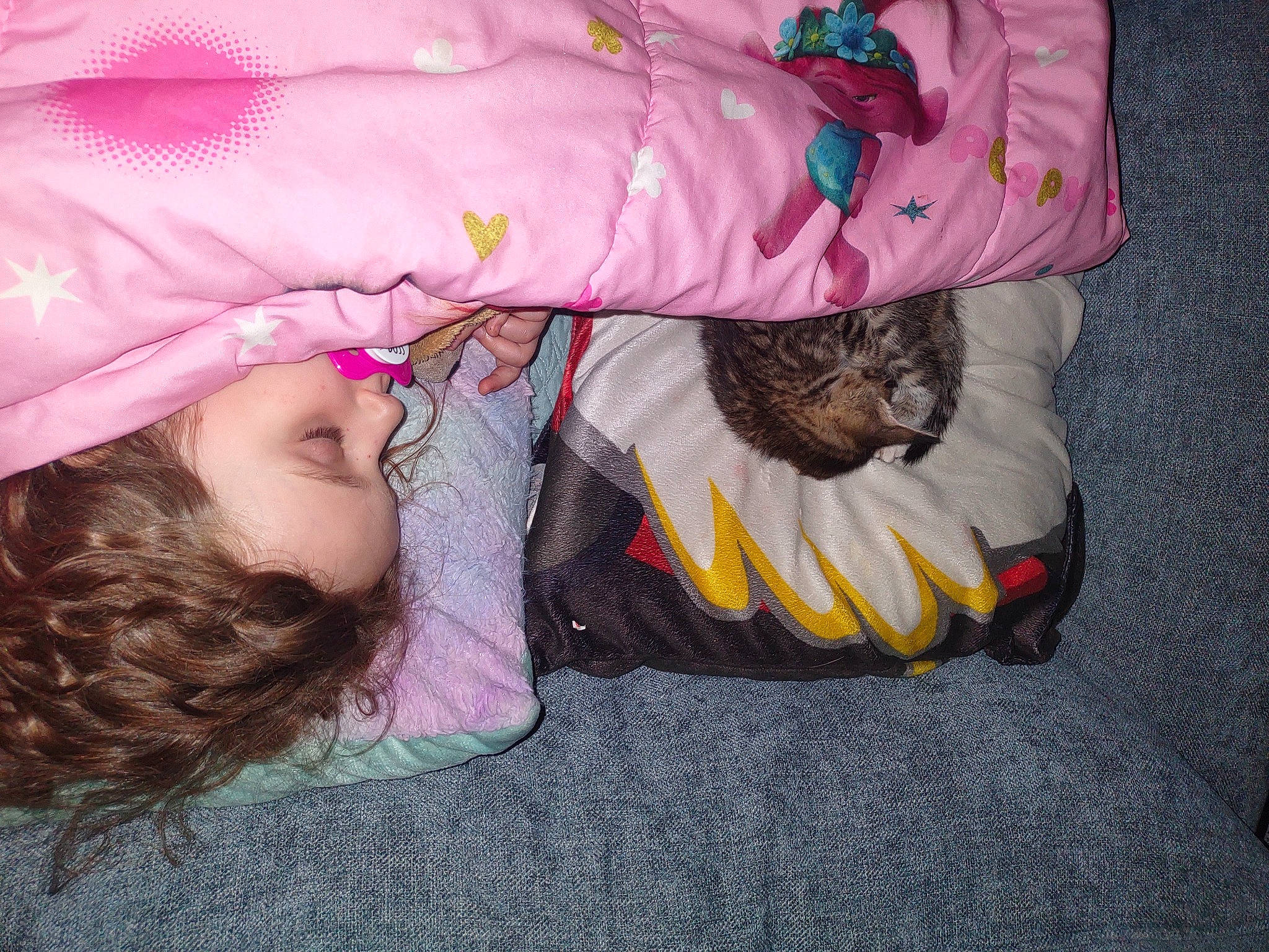 Ruby is registered to the contest to win money with this photo: baby, baby_toddler_clothing, child, comfort, companion_dog, dog_breed, felidae, fur, magenta, nap, person, pink, sitting, sleep, sleeve, textile, toddler, tree