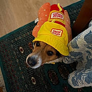 Joe joined the competition — help win amazing prizes! dog, costume, oscar_mayer, hot_dog, pet, animal, indoor, floor, rug, plush, toy, yellow_hat, brown_dog, cute, looking_up, wooden_floor, patterned_rug, fabric, costume_pet, playful