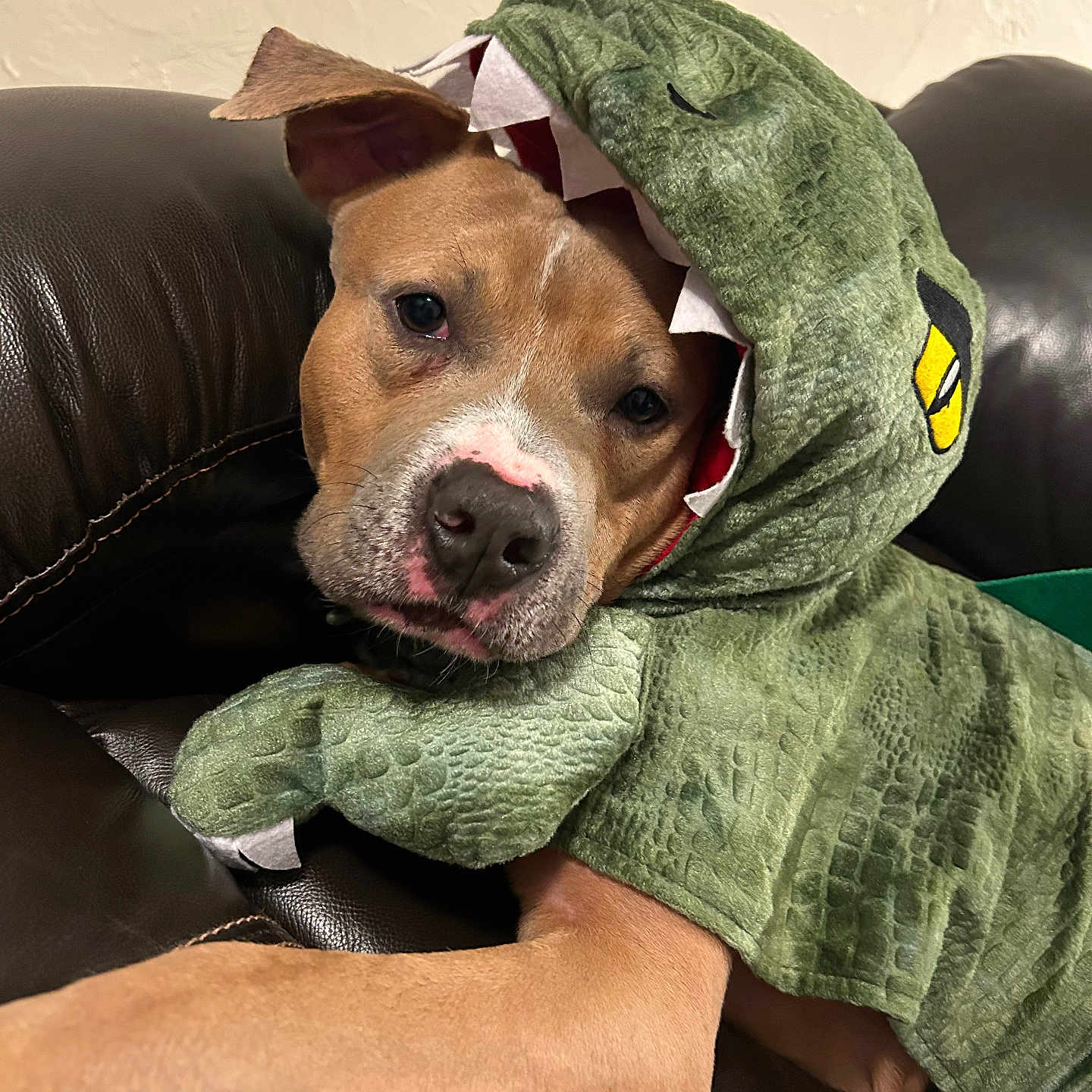 Milo