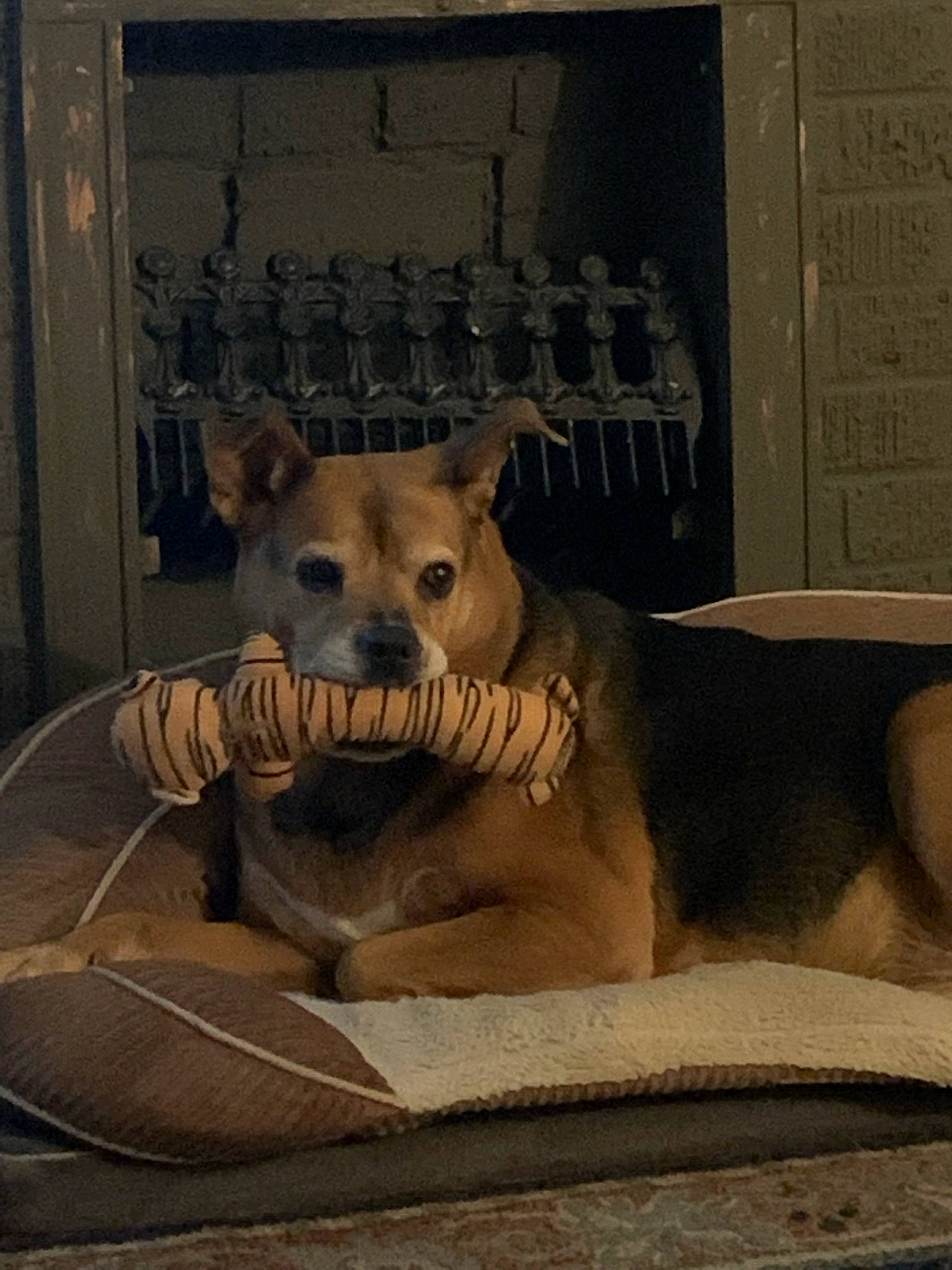 Shelly joined the competition — help win amazing prizes! art, artifact, big_cats, canidae, carnivore, clay, dog_breed, eye, fawn, felidae, lion, metal, sculpture, small_to_medium_sized_cats, snout, statue, terrestrial_animal, visual_arts, whiskers, wood