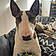 Rosco