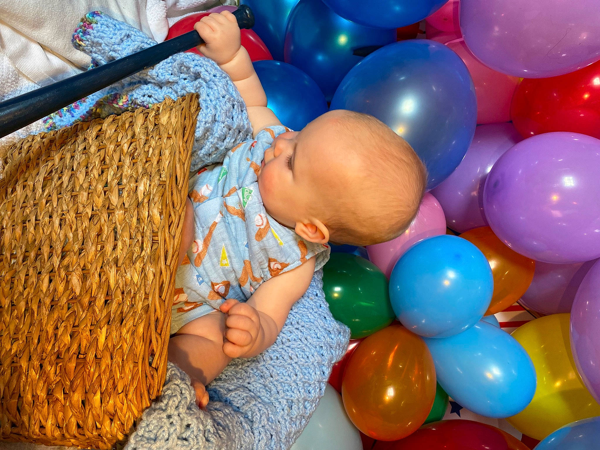 Wyatt joined the competition — help win amazing prizes! agriculture, balloon, basket, child, electric_blue, event, fun, happy, inflatable, leisure, party, party_supply, people_in_nature, person, play, recreation, t_shirt, thatching, toddler, toy