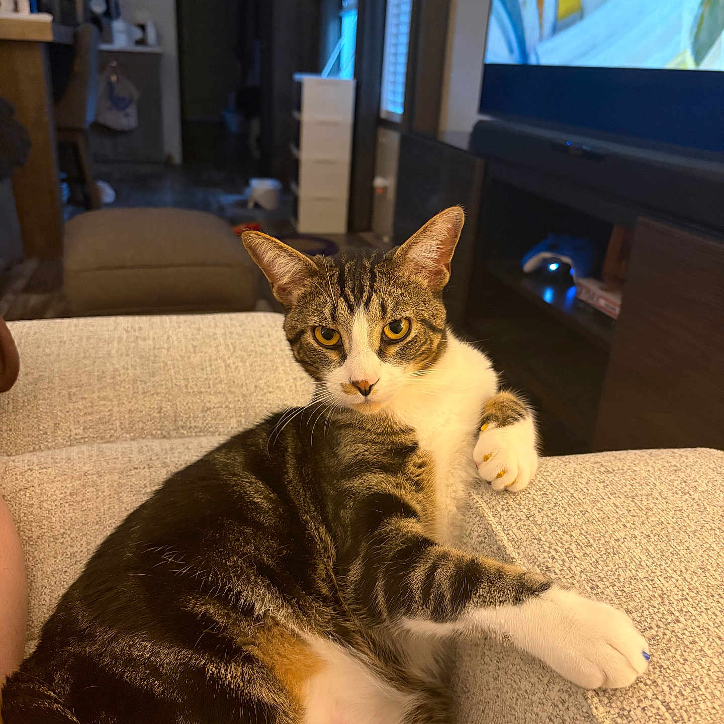 Leo