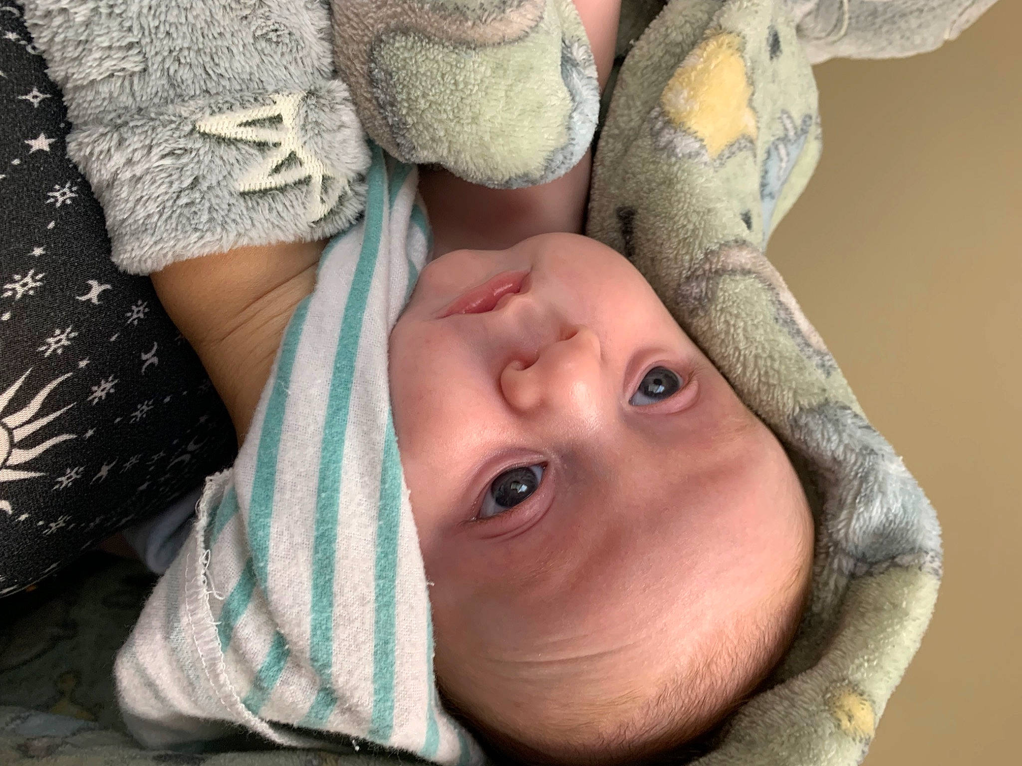 Ryder is registered to the contest to win money with this photo: arm, baby, close_up, eye, eyelash, finger, flash_photography, gesture, grass, happy, human_body, lip, nose, people_in_nature, person, plant, skin, smile, toddler, tree