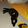 Om Pepette participe au concours pour gagner de l'argent avec cette photo : black_cat, cat, animal, pet, floor, tile_floor, footwear, sandal, indoor, furniture, fabric, pattern, resting, stretching, paw, cozy, domestic, side_view, quiet, relaxed
