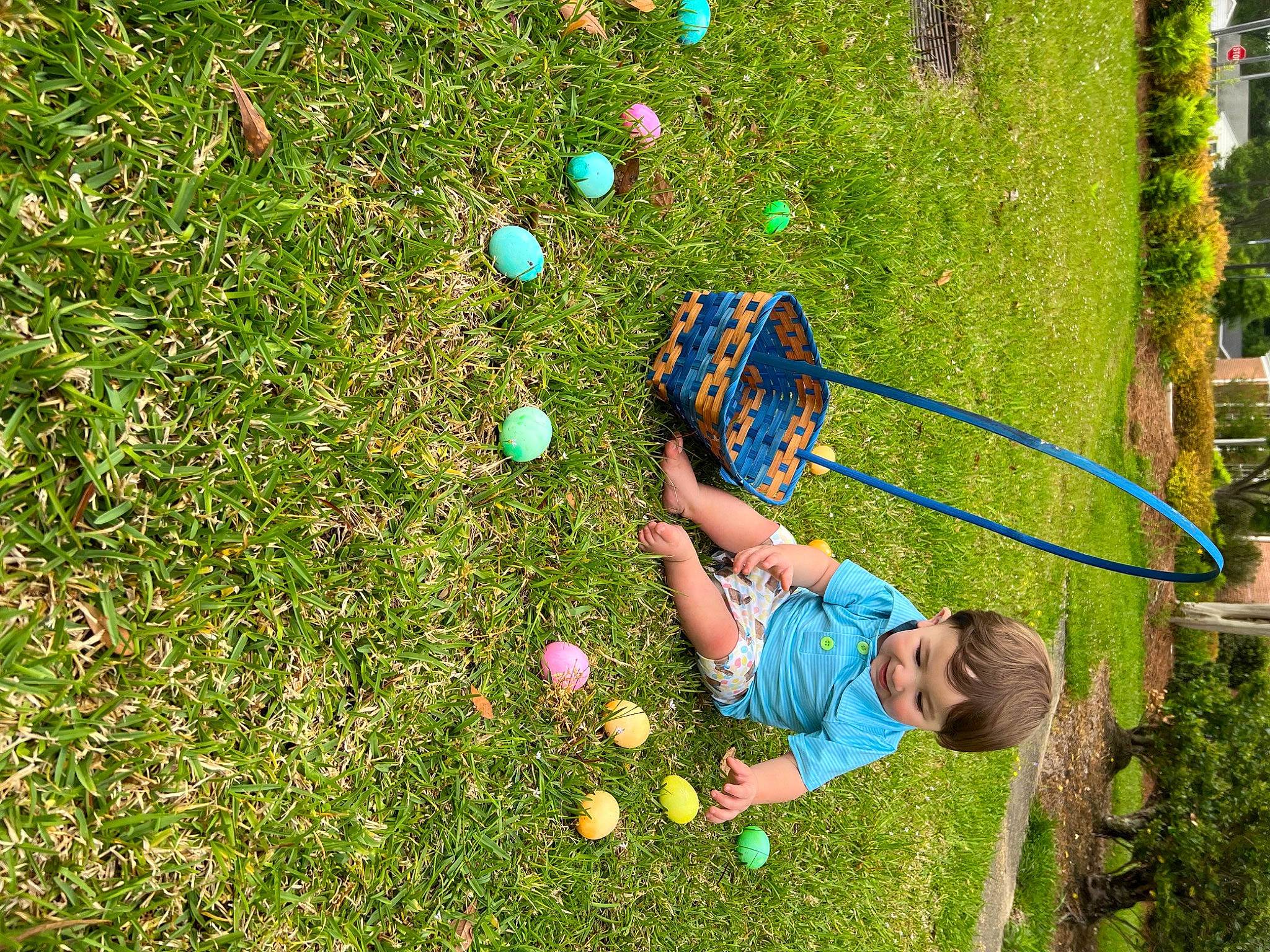 Parker is registered to the contest to win money with this photo: ball, electric_blue, fun, garden, grass, grass_family, grassland, green, happy, lawn, leisure, meadow, people_in_nature, person, plant, play, recreation, shrub, t_shirt, toddler