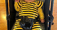 Susej joined the competition — help win amazing prizes! antennae, baby, bee_costume, black, bow, child, costume, cute, face, harness, headband, indoors, infant, portrait, seated, stripes, stroller, wings, wooden_floor, yellow