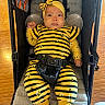 baby, child, infant, bee_costume, yellow, black, stripes, headband, antennae, wings, bow, stroller, harness, seated, portrait, indoors, wooden_floor, cute, costume, face
