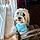 Buddy