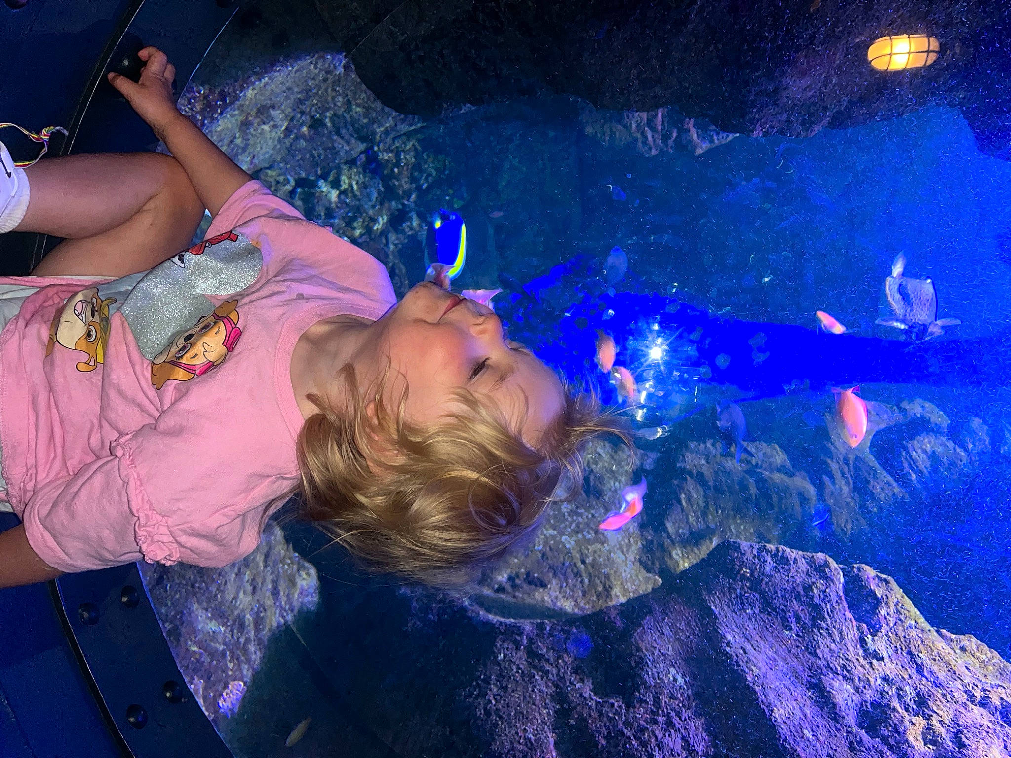 Jade a rejoint le concours — aidez-le/la à gagner de superbes lots ! crowd, electric_blue, entertainment, event, fun, fur, hat, leisure, magenta, music_venue, night, party, performance, performance_art, person, public_event, purple, sky, tree