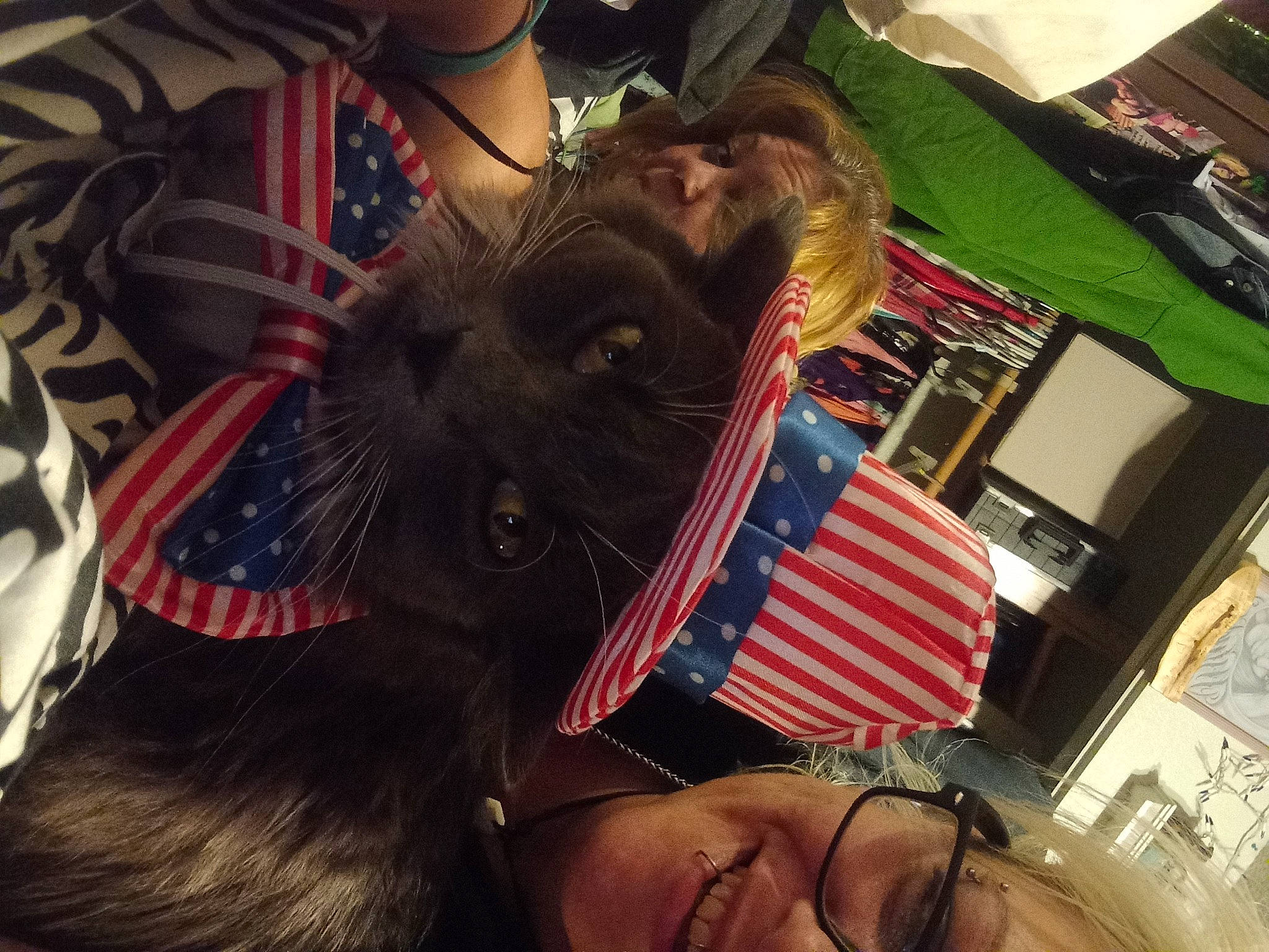 Grizmo is registered to the contest to win money with this photo: black, canidae, carnivore, companion_dog, dog_breed, ear, eyewear, fashion_accessory, fawn, felidae, fun, fur, glasses, long_hair, selfie, small_to_medium_sized_cats, smile, snout, sunglasses, whiskers