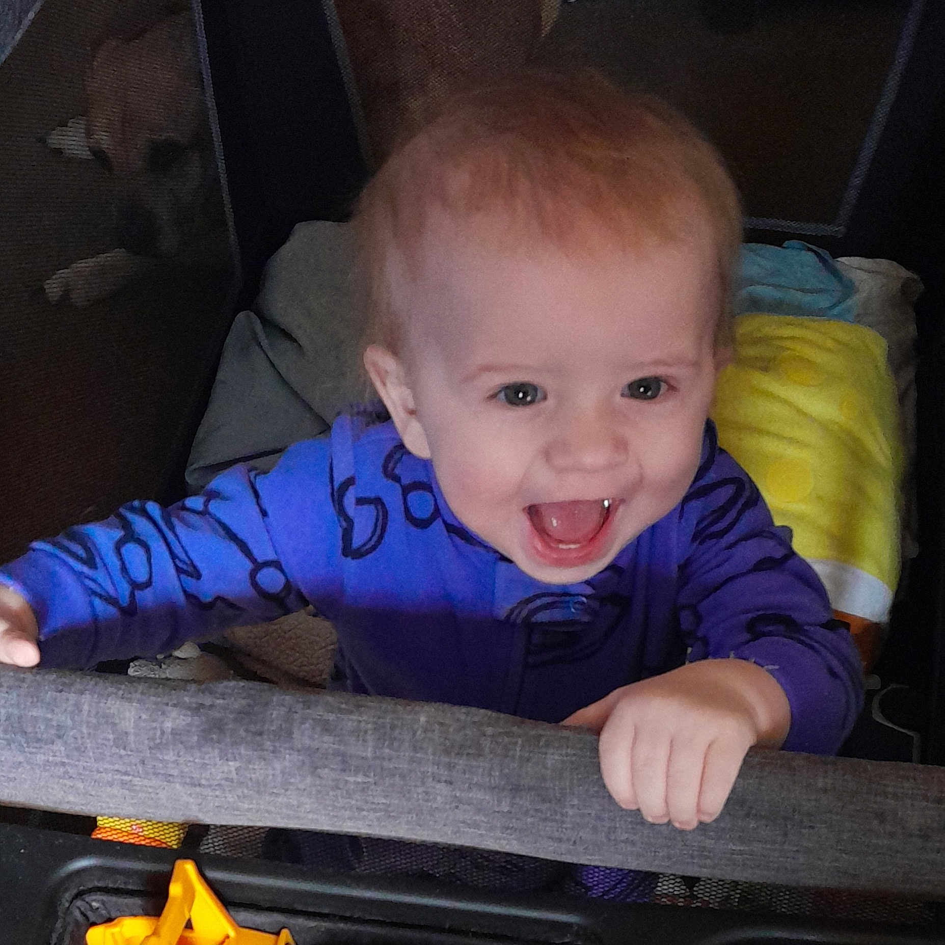 Howie joined the competition — help win amazing prizes! baby, bodypart, clothing, face, finger, furniture, hand, happy, head, laughing, mouth, person, photography, portrait, sitting, smile, t_shirt, teeth, transportation, vehicle