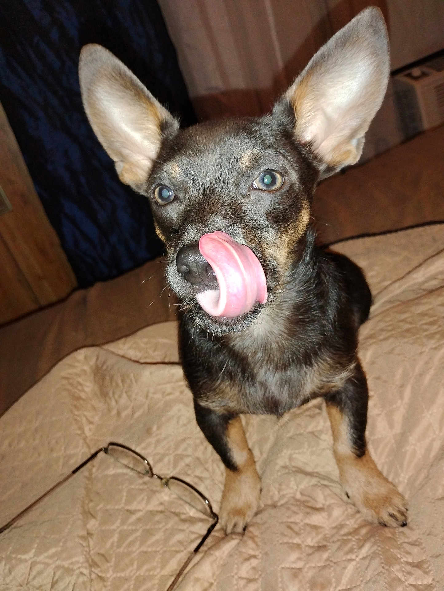 Banjo